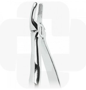 Botição anatomic pré-molares superiores n.7
