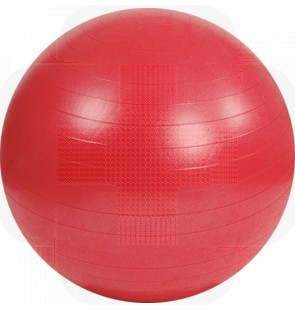 Bola Gym Ball 55cm vermelha c/bomba p/encher