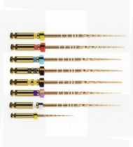 Protaper Gold S1 Maillefer 25mm
