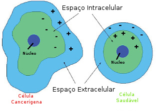 Hipertermia - célula